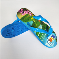 EVA Flip Flops Rio