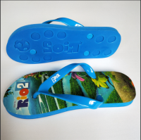 EVA Flip Flops Rio